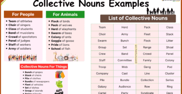 List of 100+ Collective Nouns Examples in English