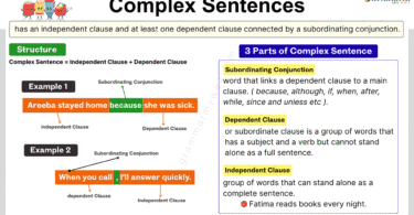 Complex Sentences in English with Definition and 20+ Examples