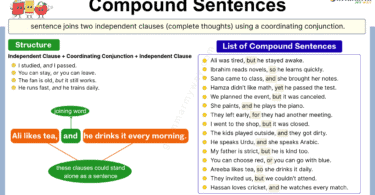 Compound Sentences in English Grammar: Definition with Examples