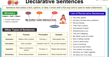 Declarative Sentences in English: Definition and 20+ Examples