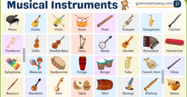Musical Instruments List with their Picture | 100+ Top Instruments
