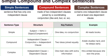 Simple Sentence Compound Sentence and Complex Sentence Explained in English