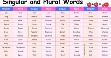 100 Singular and Plural Words with Examples in English