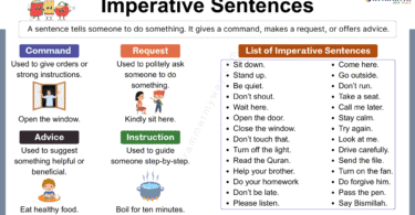 Imperative Sentences rules and examples in English grammar