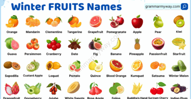 100+ Winter Fruits List and Pictures | Complete Guide