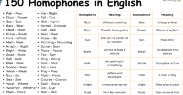 150+ Homophones Examples with Meaning in English: Useful List