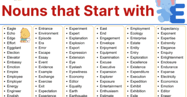 320+ Nouns that Start with E: Full List in English