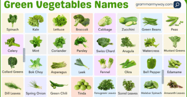 40+ Types of Green Vegetables List in English with their Pictures