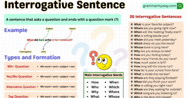 Interrogative sentences definition and examples in English grammar