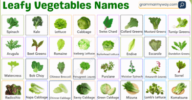 50+ Leafy Vegetables Names List and Pictures to Get to Know