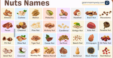 Types of Nuts List A to Z in English | Full List with Pictures