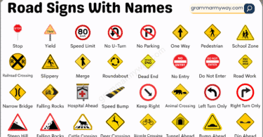 100 Road Signs in the USA with Meanings | List with Pictures