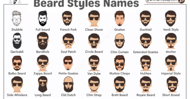 100+ Beard Styles Names with Pictures