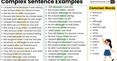 100+ Examples Of Complex Sentences