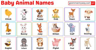Baby Animals Names with Pictures | 100+ Cute Animal Babies