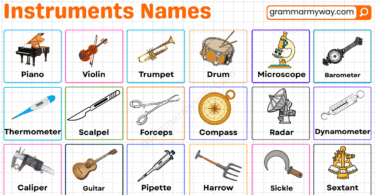 Types of instruments​ names with pictures