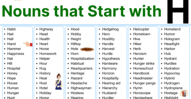 Nouns that Start with H: 200+ Nouns List