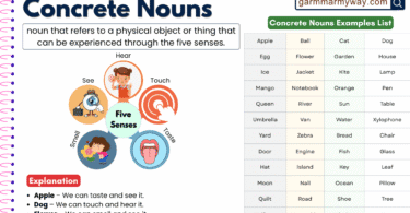 Concrete Nouns with Definition: List of 300+ Concrete Nouns