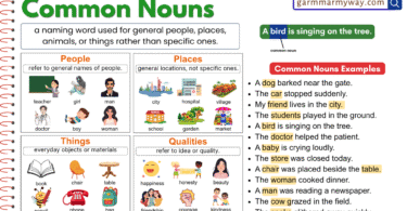 What are Common Nouns? Definition and Examples